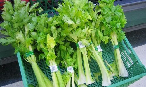 芹菜这样吃才能更好的灭肝火 www.027eat.com