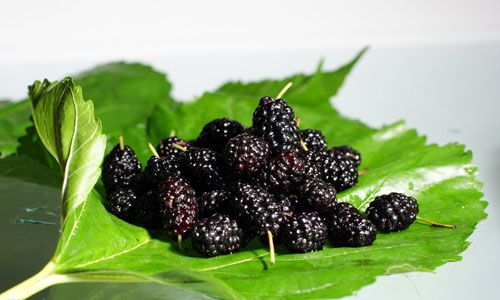 ɣ��ֻҪ�Է���ȷ��Ч��Ҫ���˲λ��� www.027eat.com