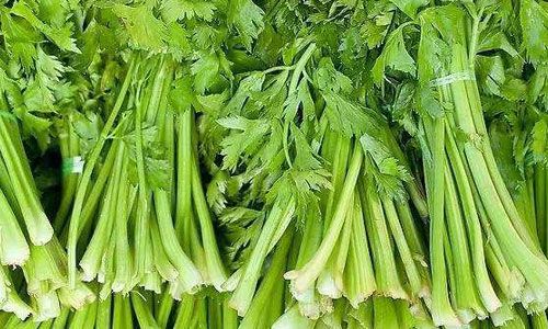 经常吃芹菜竟然对肝脏有这么多好处 www.027eat.com