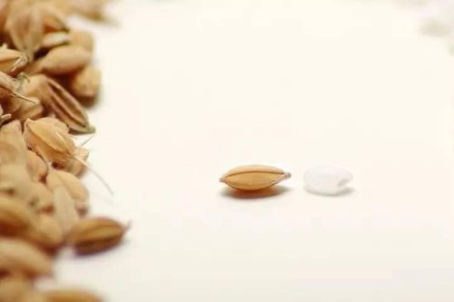 ���׵�Ӫ����ֵ��Ȼ���˲ζ��� www.027eat.com