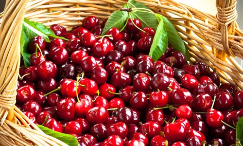 �����˳�������͵����¶� www.027eat.com