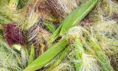 ��������5��Ч ���������ý��� www.027eat.com