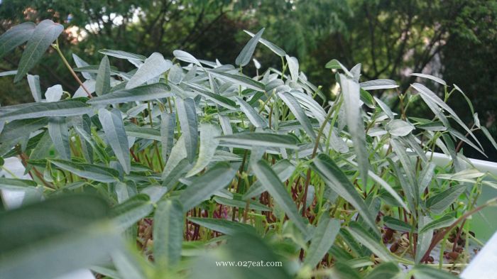 ������浰��������������