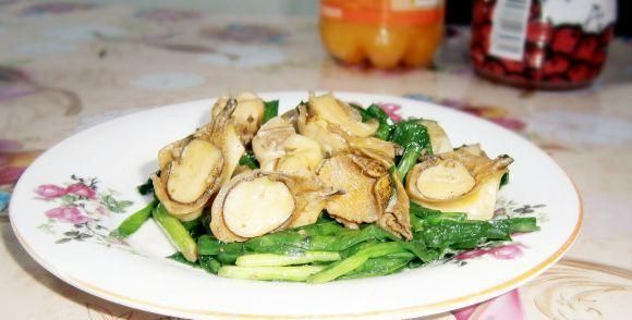 �²˳����ݵ�����������