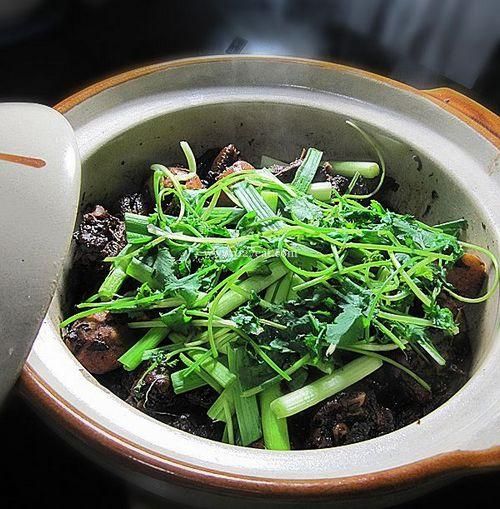 ɳ���Ĺ��˶������������