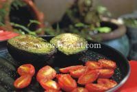 ţ�͹����ȵ�������������