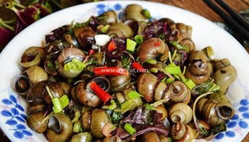 ���ȳ����ϵ�����������