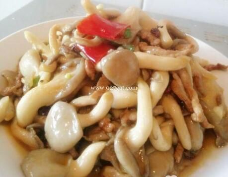 ���乽����˿������������