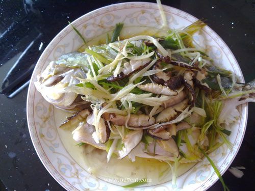 ������ǹ�������������